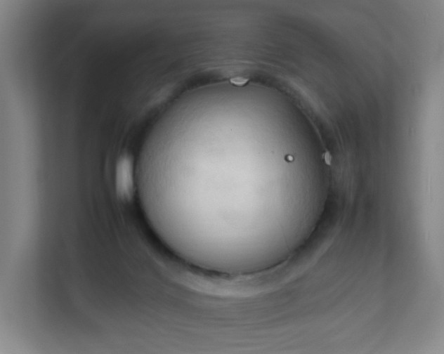 X0000111950028200908031207