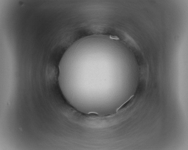 X0000111950029200908031207
