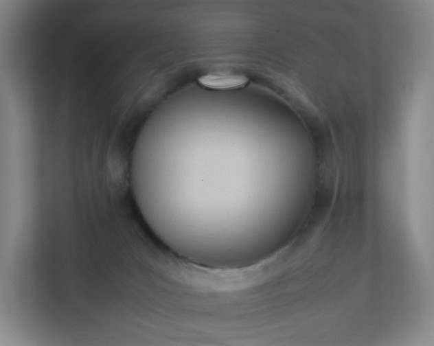 X0000111950031200908031207
