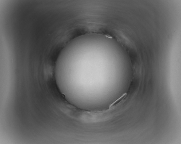 X0000111950033200908031207