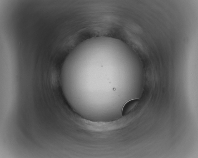 X0000111950034200908031207