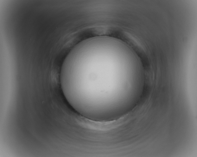 X0000111950035200908031207