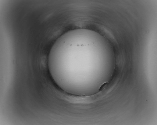 X0000111950036200908031207