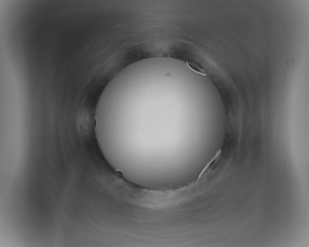 X0000111950037200908031207