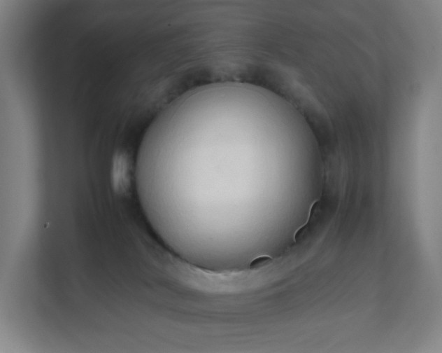 X0000111950038200908031207