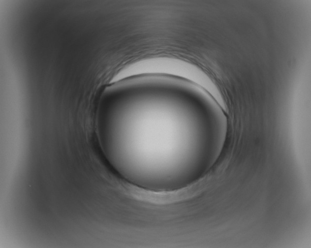 X0000111950039200908031207