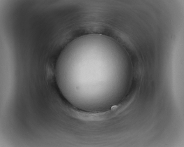 X0000111950040200908031207