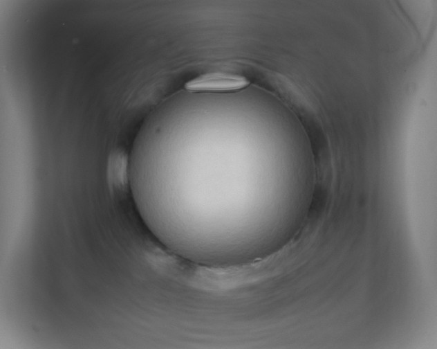 X0000111950041200908031207