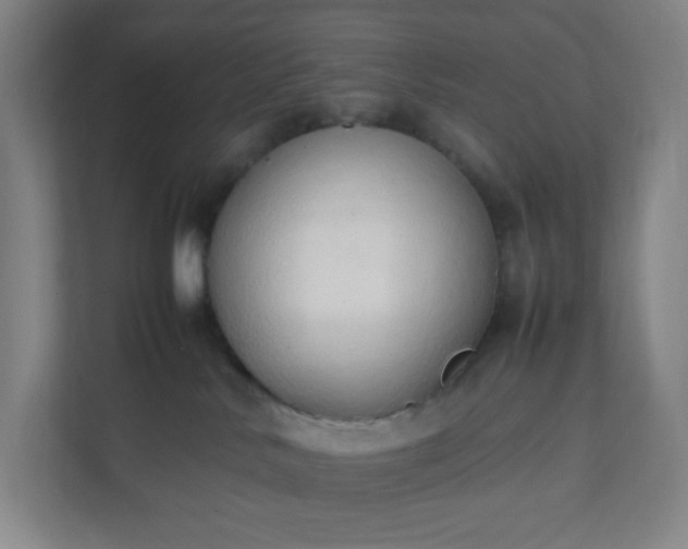 X0000111950042200908031207