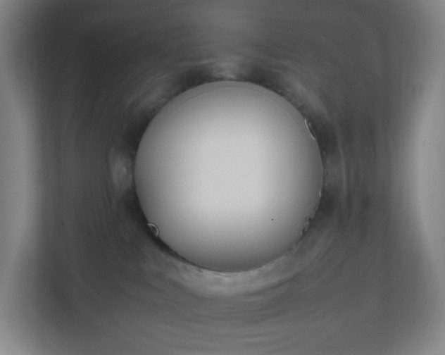 X0000111950043200908031207