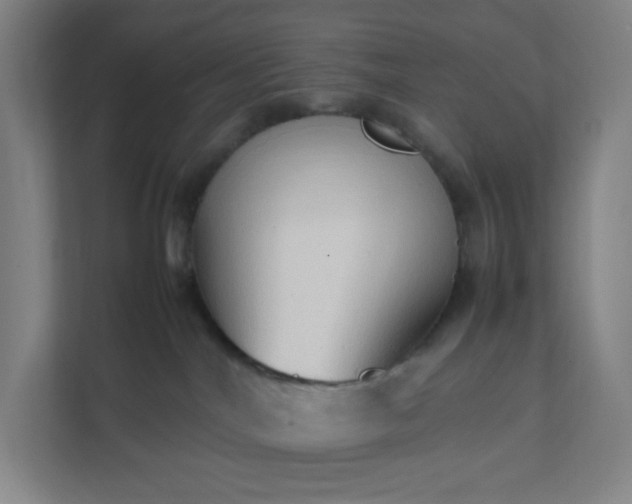 X0000111950044200908031207