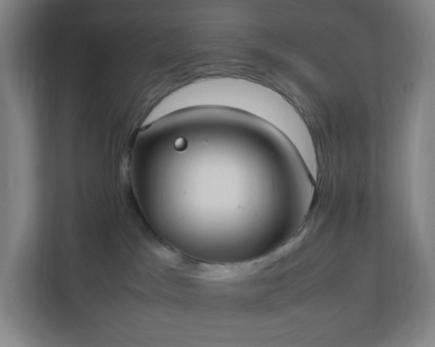 X0000111950045200908031207