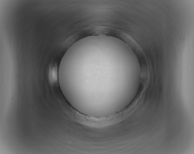 X0000111950046200908031207