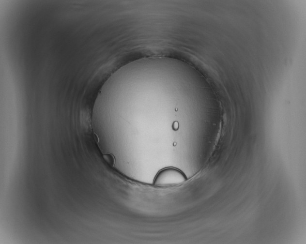X0000111950048200908031207
