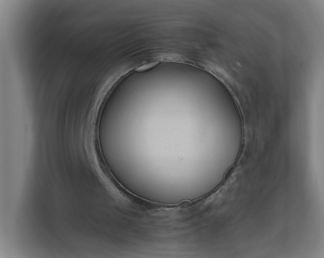 X0000111950049200908031206