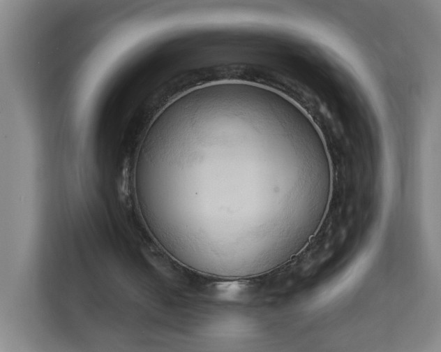 X0000111950050200908031206