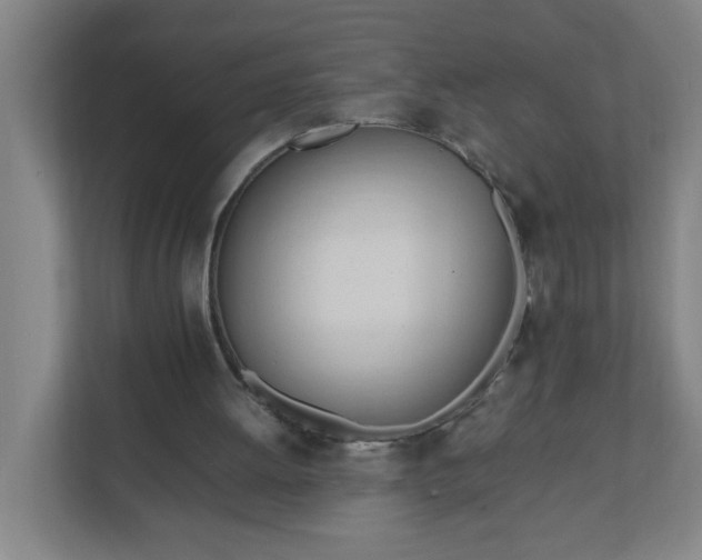 X0000111950052200908031206