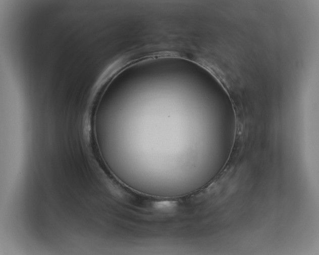 X0000111950053200908031206