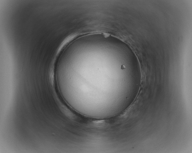 X0000111950054200908031206