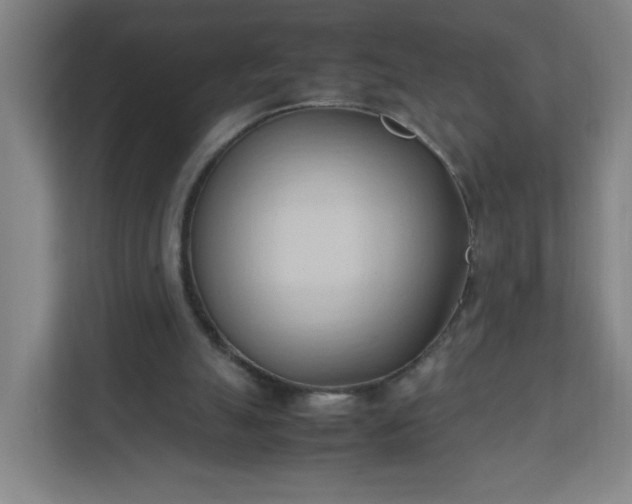 X0000111950055200908031206