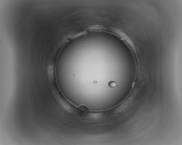 X0000111950057200908031206