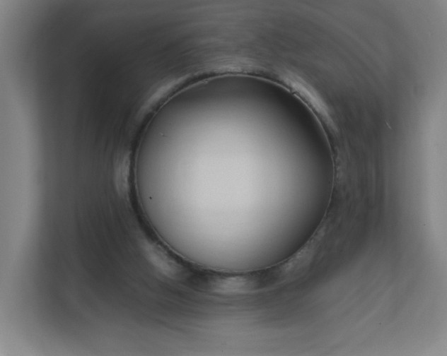 X0000111950058200908031206