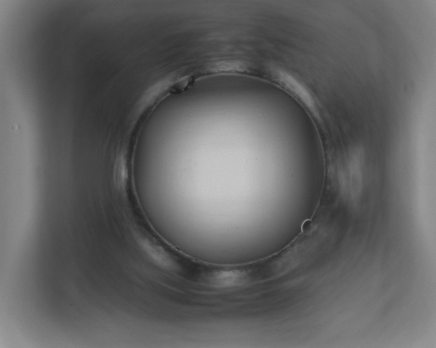 X0000111950059200908031206