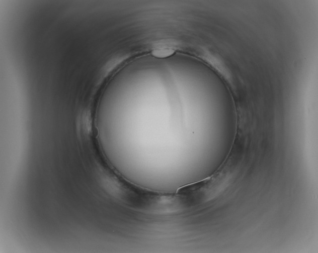 X0000111950060200908031206