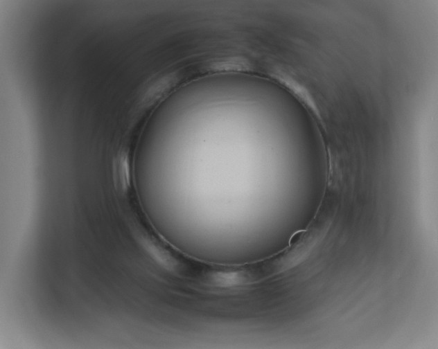 X0000111950061200908031206