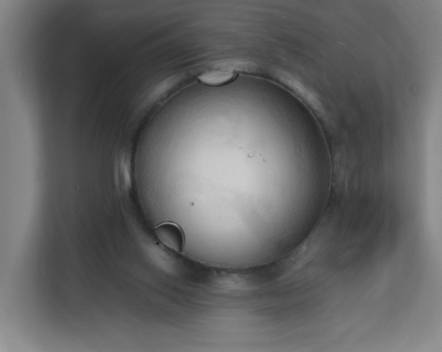 X0000111950062200908031206