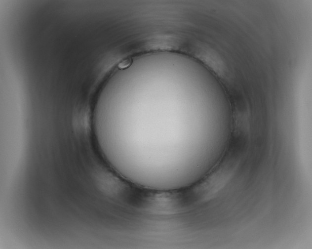 X0000111950064200908031206