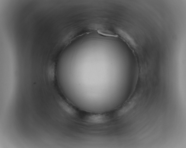X0000111950065200908031206