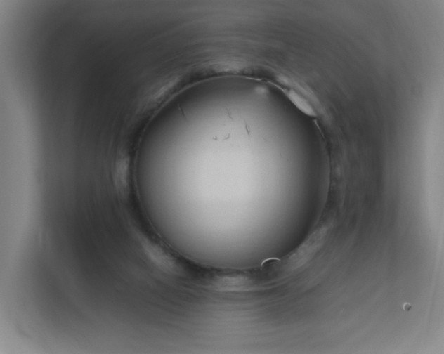 X0000111950066200908031206