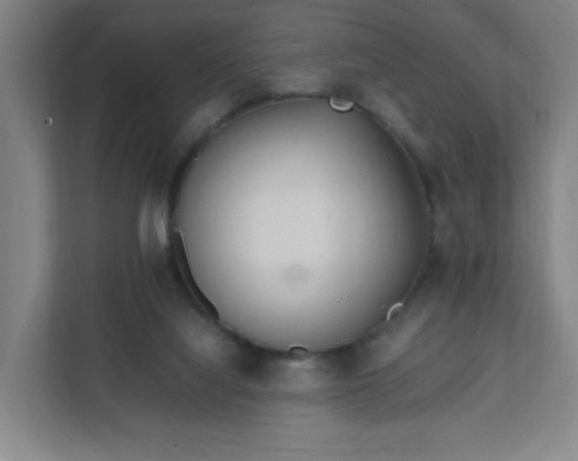 X0000111950068200908031206