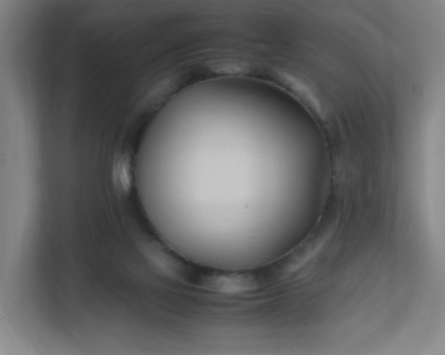 X0000111950069200908031206