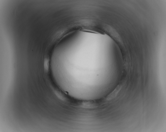 X0000111950070200908031206