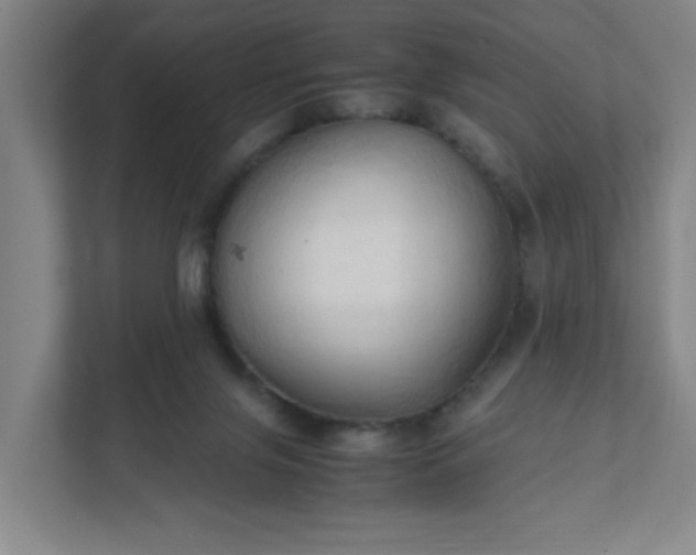 X0000111950071200908031206