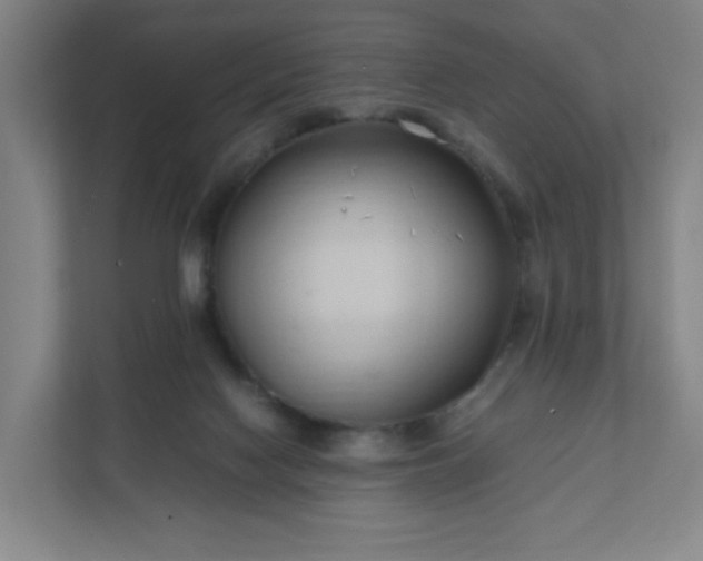 X0000111950074200908031206