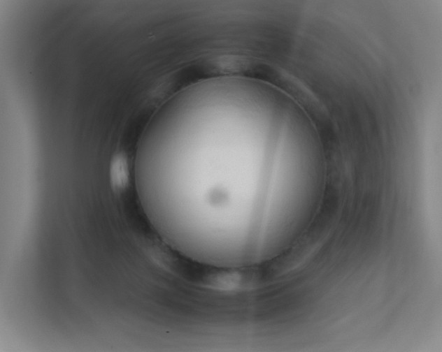 X0000111950075200908031206