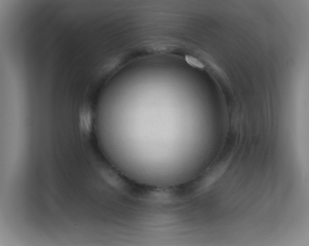 X0000111950076200908031206