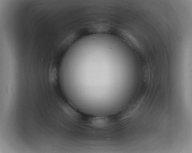 X0000111950077200908031206