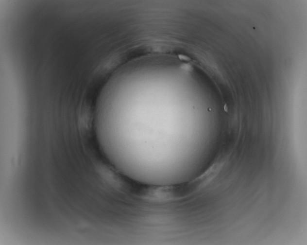 X0000111950078200908031206