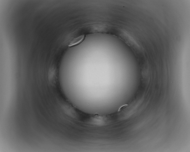 X0000111950079200908031207