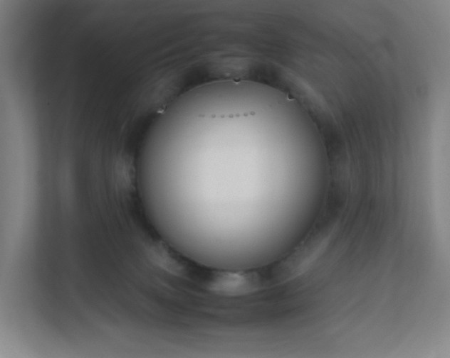 X0000111950083200908031207
