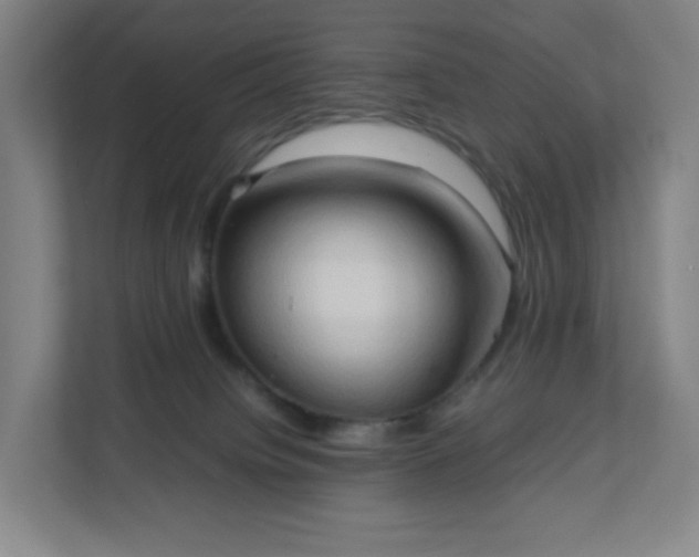 X0000111950084200908031207