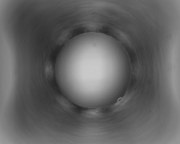 X0000111950086200908031207