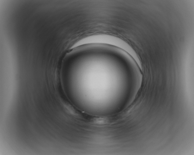 X0000111950088200908031207