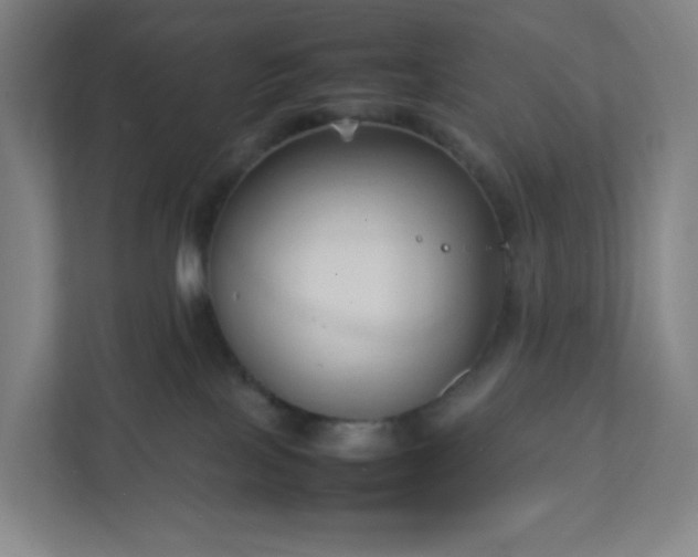 X0000111950089200908031207