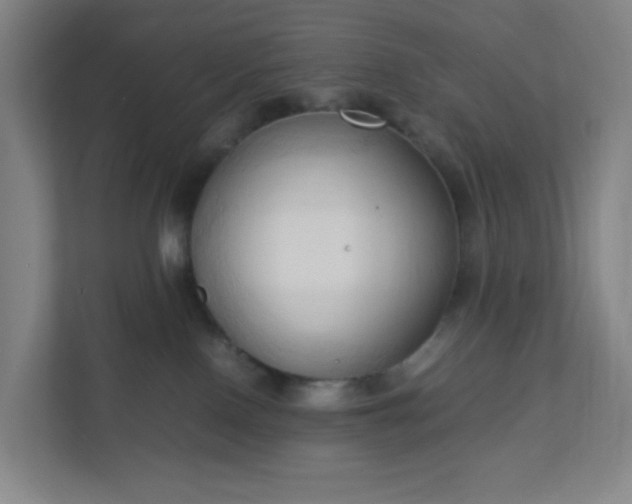 X0000111950090200908031207