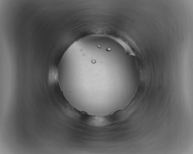 X0000111950095200908031207